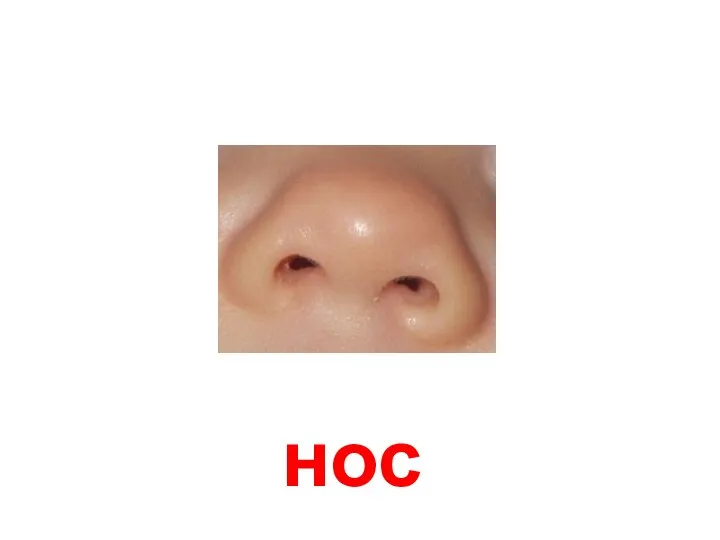 нос