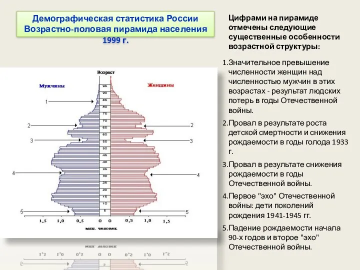 Демографическая статистика России Возрастно-половая пирамида населения 1999 г. Цифрами на пирамиде