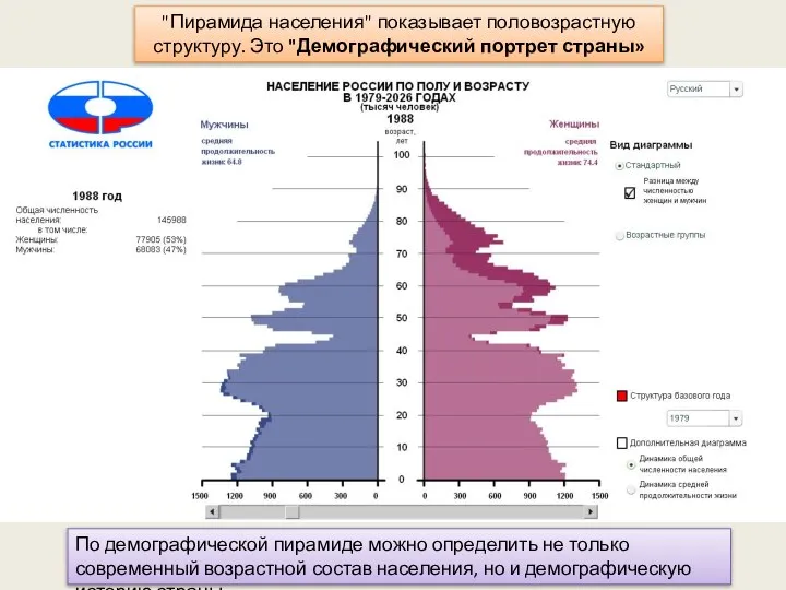 "Пирамида населения" показывает половозрастную структуру. Это "Демографический портрет страны» По демографической