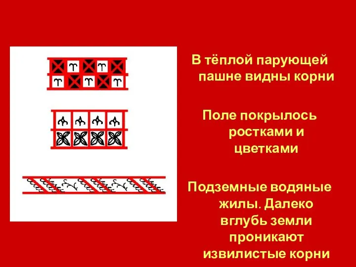 В тёплой парующей пашне видны корни Поле покрылось ростками и цветками