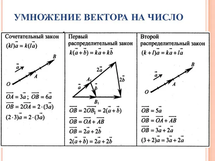 УМНОЖЕНИЕ ВЕКТОРА НА ЧИСЛО