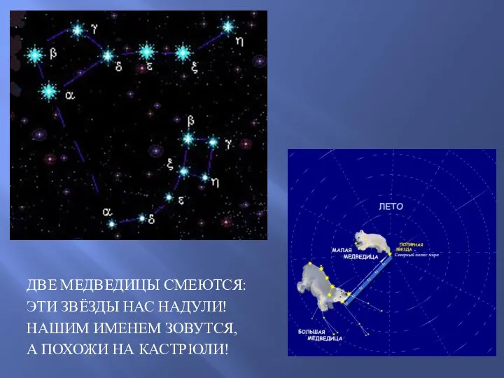 ДВЕ МЕДВЕДИЦЫ СМЕЮТСЯ: ЭТИ ЗВЁЗДЫ НАС НАДУЛИ! НАШИМ ИМЕНЕМ ЗОВУТСЯ, А ПОХОЖИ НА КАСТРЮЛИ!