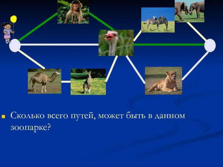 Сколько всего путей, может быть в данном зоопарке?