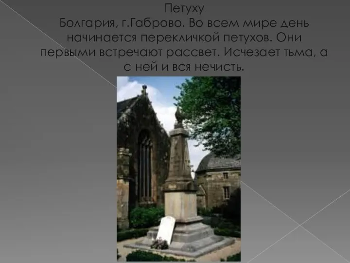 Петуху Болгария, г.Габрово. Во всем мире день начинается перекличкой петухов. Они