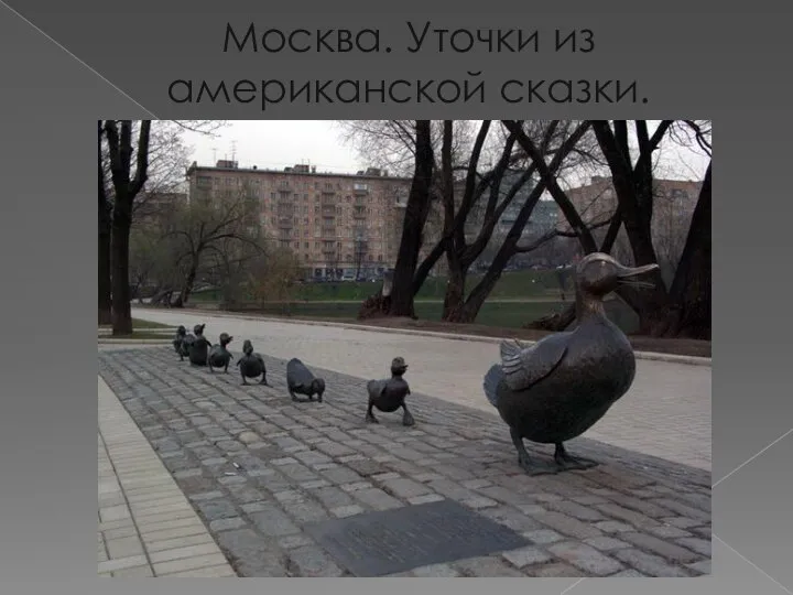 Москва. Уточки из американской сказки.