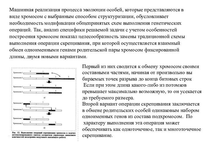 Машинная реализация процесса эволюции особей, которые представляются в виде хромосом с