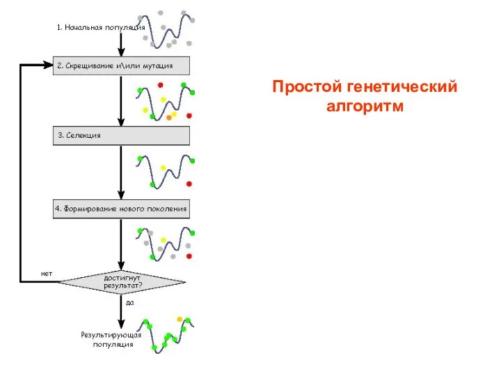 Простой генетический алгоритм