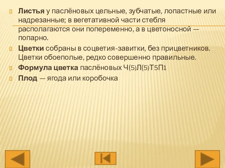 Листья у паслёновых цельные, зубчатые, лопастные или надрезанные; в вегетативной части