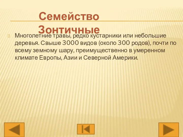 Многолетние травы, редко кустарники или небольшие деревья. Свыше 3000 видов (около