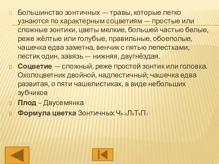 Большинство зонтичных — травы, которые легко узнаются по характерным соцветиям —