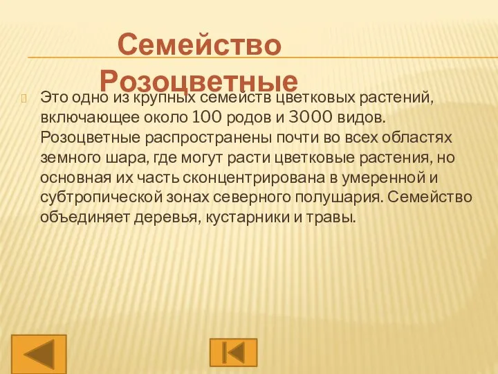 Это одно из крупных семейств цветковых растений, включающее около 100 родов