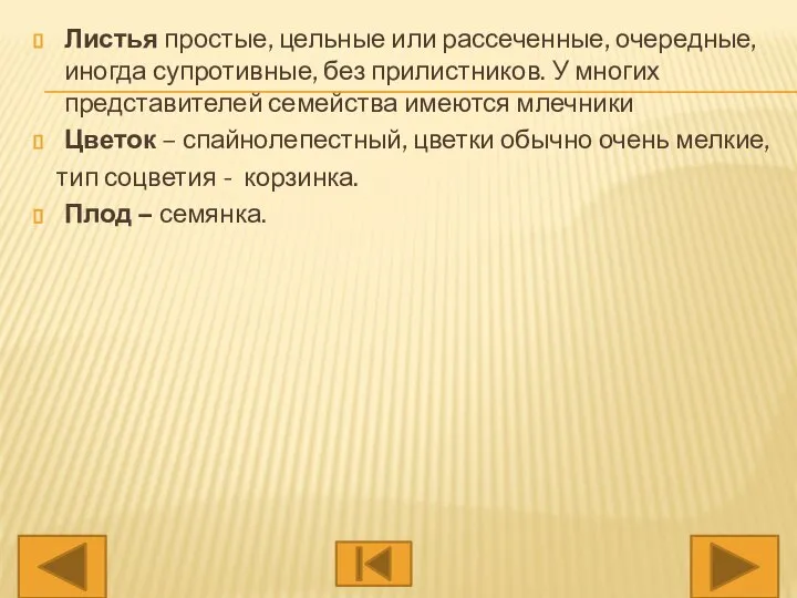 Листья простые, цельные или рассеченные, очередные, иногда супротивные, без прилистников. У