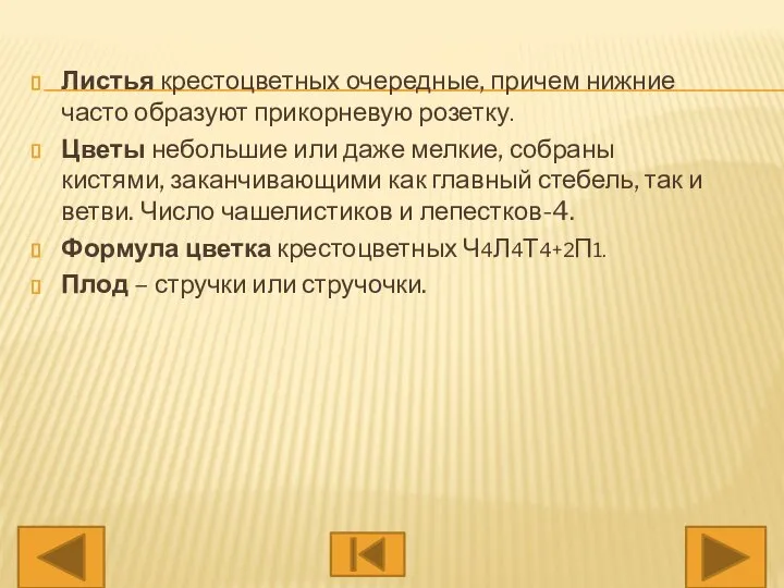 Листья крестоцветных очередные, причем нижние часто образуют прикорневую розетку. Цветы небольшие