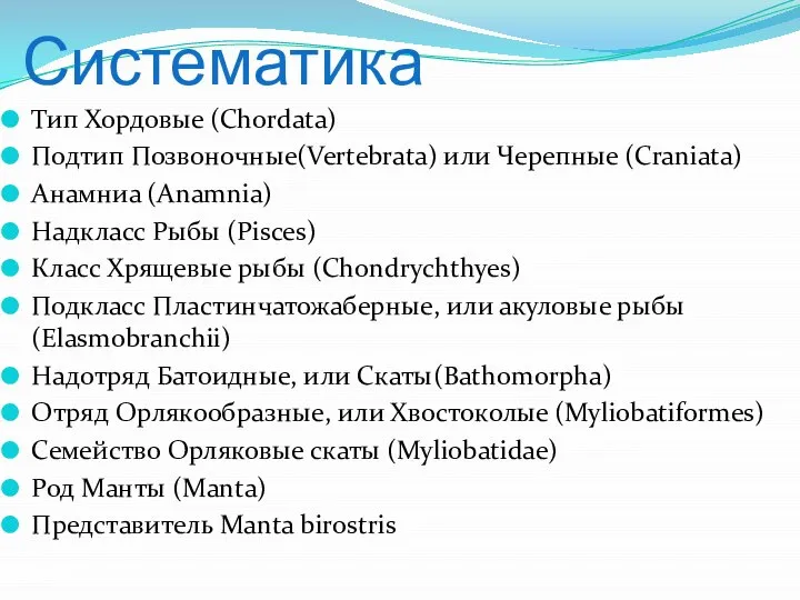 Систематика Тип Хордовые (Chordata) Подтип Позвоночные(Vertebrata) или Черепные (Craniata) Анамниа (Anamnia)