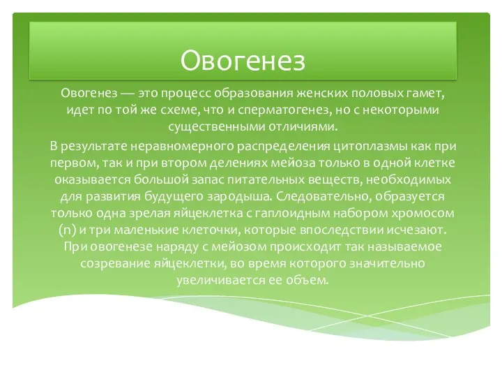 Овогенез Овогенез — это процесс образования женских половых гамет, идет по