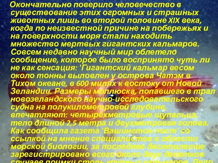 Окончательно поверило человечество в существование этих огромных и страшных животных лишь