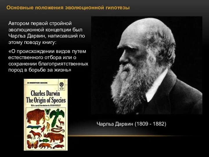 Основные положения эволюционной гипотезы Автором первой стройной эволюционной концепции был Чарльз