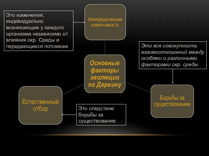 Это вся совокупность взаимоотношений между особями и различными факторами окр. среды