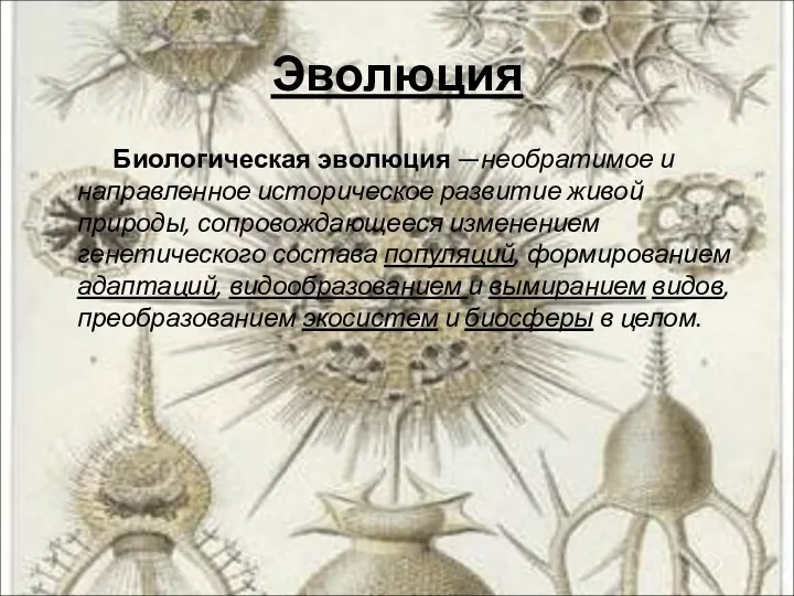 Эволюция Биологическая эволюция —необратимое и направленное историческое развитие живой природы, сопровождающееся