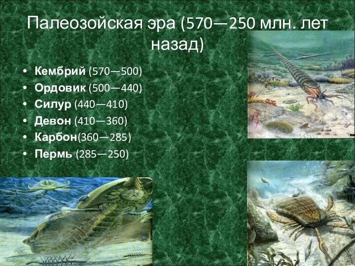 Палеозойская эра (570—250 млн. лет назад) Кембрий (570—500) Ордовик (500—440) Силур