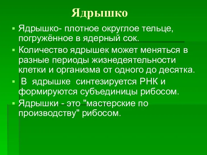 Ядрышко Ядрышко- плотное округлое тельце, погружённое в ядерный сок. Количество ядрышек