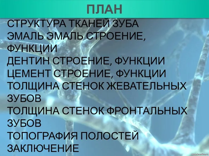 ПЛАН СТРУКТУРА ТКАНЕЙ ЗУБА ЭМАЛЬ ЭМАЛЬ СТРОЕНИЕ, ФУНКЦИИ ДЕНТИН СТРОЕНИЕ, ФУНКЦИИ