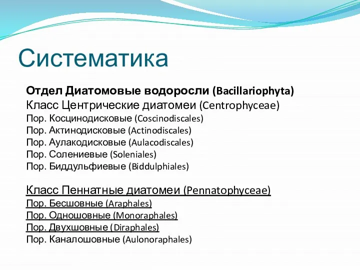 Систематика Отдел Диатомовые водоросли (Bacillariophyta) Класс Центрические диатомеи (Centrophyceae) Пор. Косцинодисковые