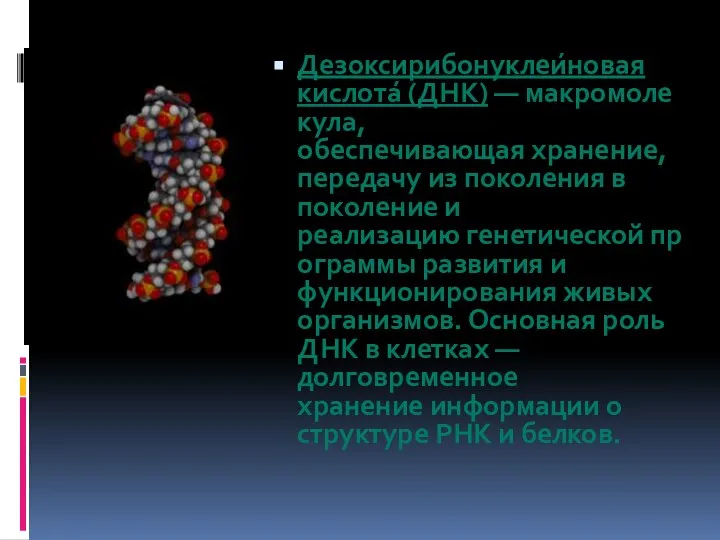 Дезоксирибонуклеи́новая кислота́ (ДНК) — макромолекула, обеспечивающая хранение, передачу из поколения в