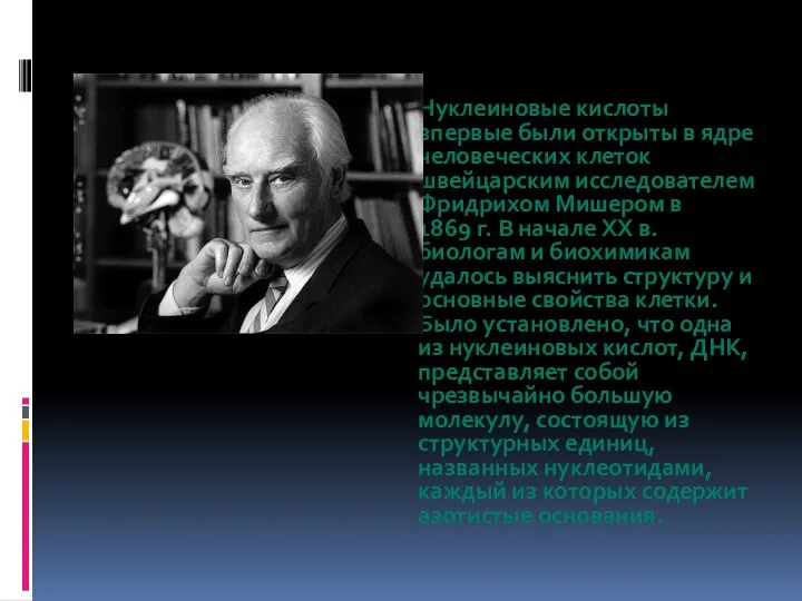 Нуклеиновые кислоты впервые были открыты в ядре человеческих клеток швейцарским исследователем