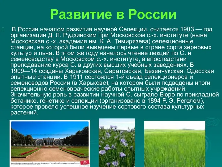 Развитие в России В России началом развития научной Селекции. считается 1903
