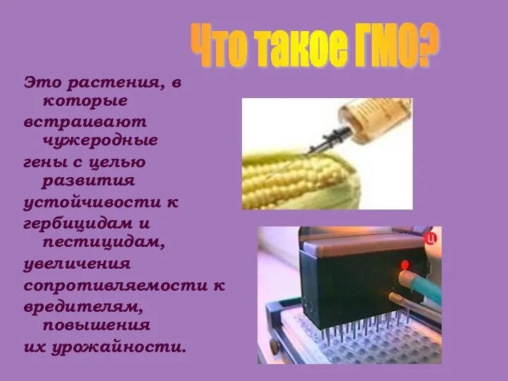 Это растения, в которые встраивают чужеродные гены с целью развития устойчивости