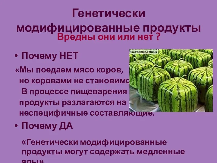 Генетически модифицированные продукты Вредны они или нет ? Почему НЕТ «Мы