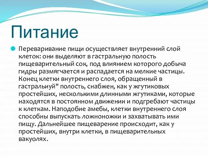 Питание Переваривание пищи осуществляет внутренний слой клеток: они выделяют в гастральную