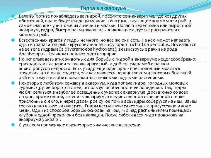 Гидра в аквариуме Если вы хотите понаблюдать за гидрой, поселите ее