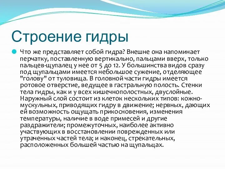 Строение гидры Что же представляет собой гидра? Внешне она напоминает перчатку,