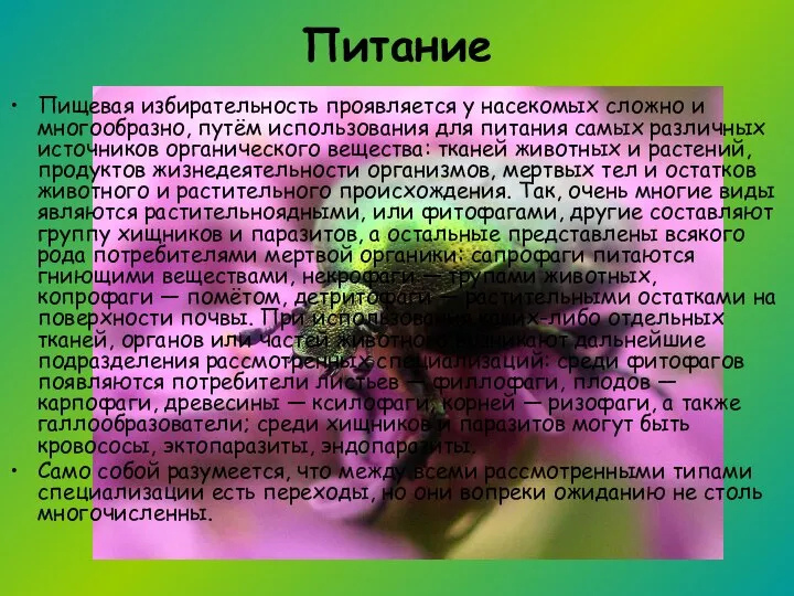 Питание Пищевая избирательность проявляется у насекомых сложно и многообразно, путём использования