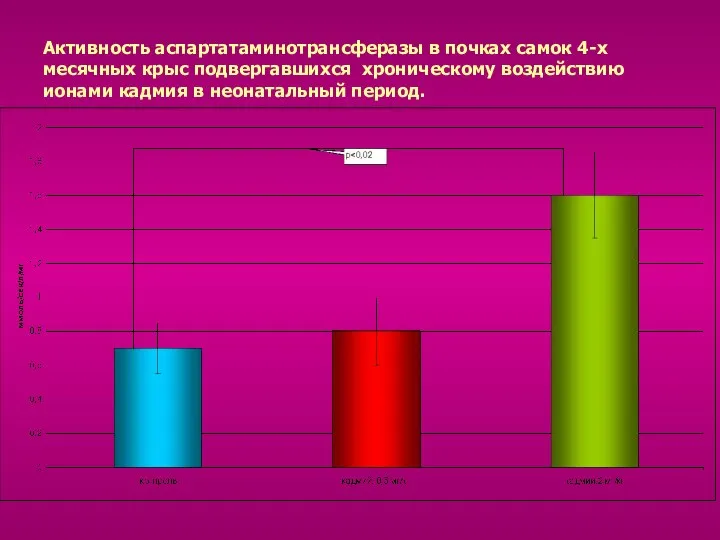 Активность аспартатаминотрансферазы в почках самок 4-х месячных крыс подвергавшихся хроническому воздействию ионами кадмия в неонатальный период.