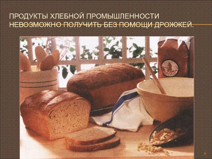 ПРОДУКТЫ ХЛЕБНОЙ ПРОМЫШЛЕННОСТИ НЕВОЗМОЖНО ПОЛУЧИТЬ БЕЗ ПОМОЩИ ДРОЖЖЕЙ.