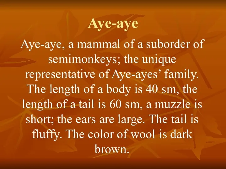 Aye-aye Aye-aye, a mammal of a suborder of semimonkeys; the unique
