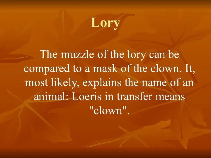 Lory The muzzle of the lory can be compared to a