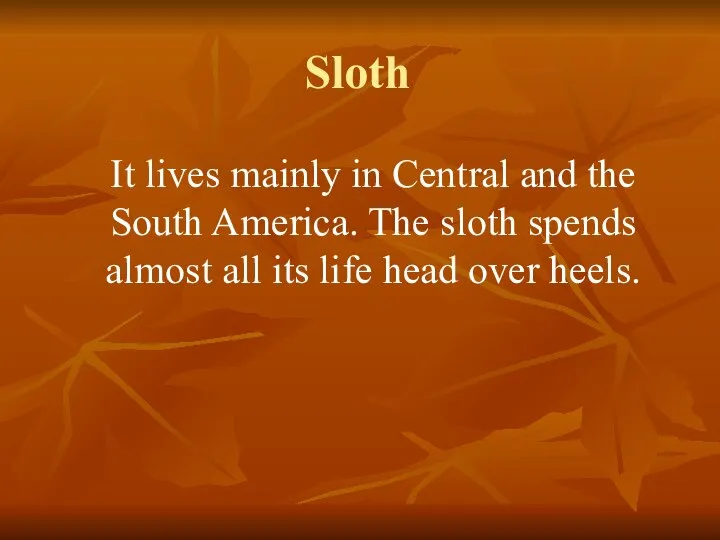 Sloth It lives mainly in Central and the South America. The