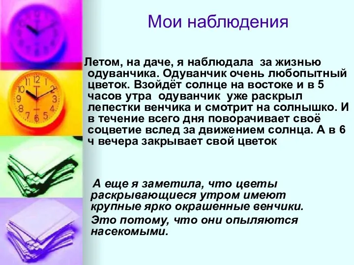 Мои наблюдения Летом, на даче, я наблюдала за жизнью одуванчика. Одуванчик