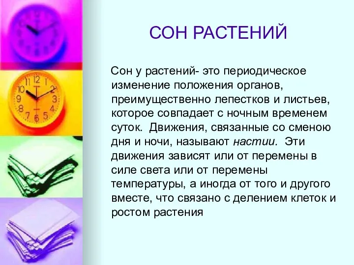 СОН РАСТЕНИЙ Сон у растений- это периодическое изменение положения органов, преимущественно