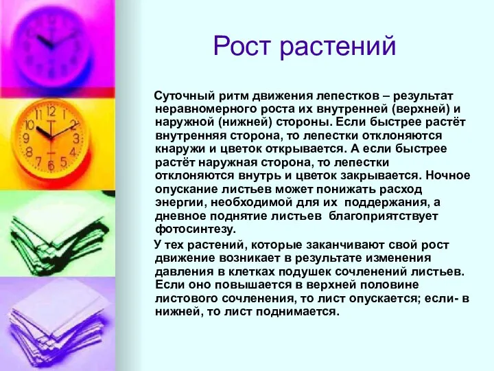 Рост растений Суточный ритм движения лепестков – результат неравномерного роста их