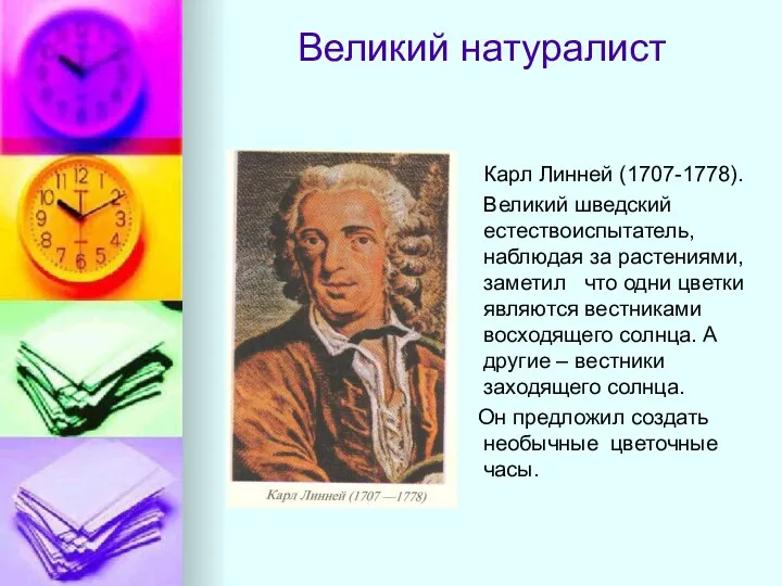 Великий натуралист Карл Линней (1707-1778). Великий шведский естествоиспытатель, наблюдая за растениями,