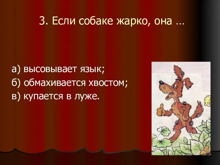 а) высовывает язык; б) обмахивается хвостом; в) купается в луже. 3. Если собаке жарко, она …