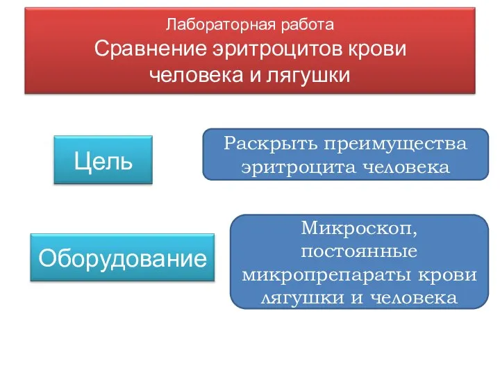 Раскрыть преимущества эритроцита человека Микроскоп, постоянные микропрепараты крови лягушки и человека