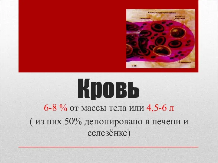 Кровь 6-8 % от массы тела или 4,5-6 л ( из