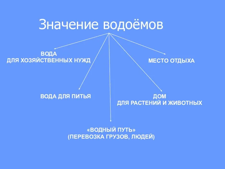 Значение водоёмов ДОМ ДЛЯ РАСТЕНИЙ И ЖИВОТНЫХ МЕСТО ОТДЫХА ВОДА ДЛЯ