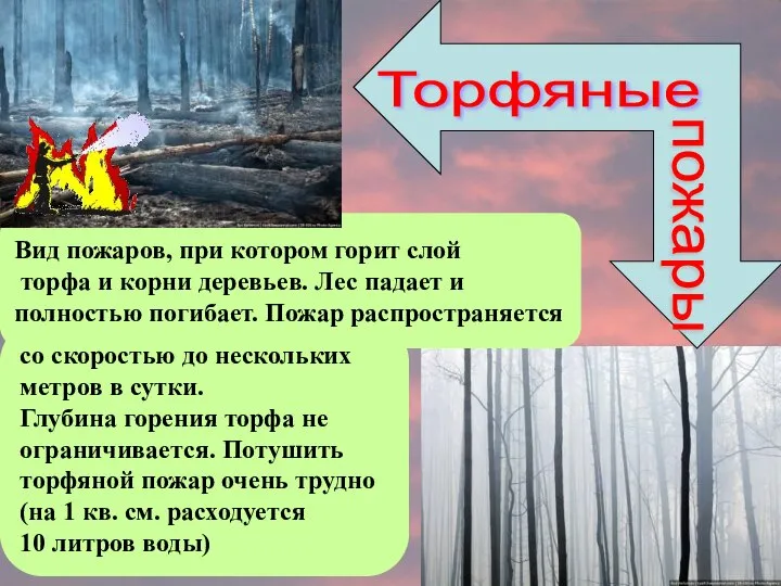 Торфяные пожары со скоростью до нескольких метров в сутки. Глубина горения